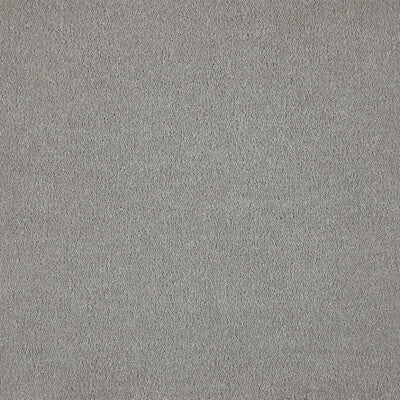 Westminster - Gesture - 9.5mm Commercial Carpet