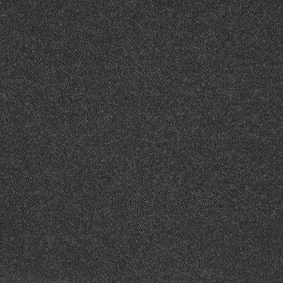 Westminster - Palpate - 9.5mm Commercial Carpet