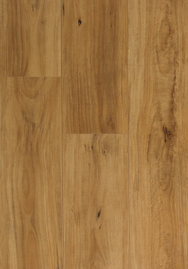 Swish Aqua Blackbutt swatch - mid-tone Australian blackbutt decor in 12.3mm laminate flooring