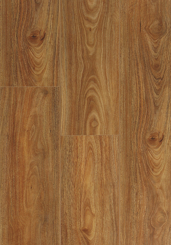 Swish Aqua Spotted Gum swatch - warm caramel-brown mid-tone spotted gum decor in 12.3mm laminate flooring