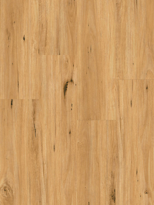 Eco Flooring Ornato XXL 8.0 Coastal Blackbutt 8mm hybrid flooring