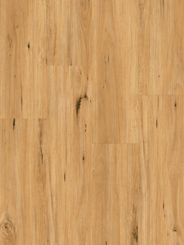 Eco Flooring Ornato XXL 8.0 Coastal Blackbutt 8mm hybrid flooring