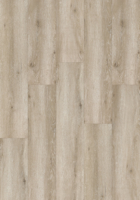 Swish Aqua Fendi Oak swatch - soft greige oak decor in 12.3mm laminate flooring