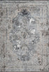 Pierre Cardin Elysee 902 Silver Transitional Faded Rug with Medallion and Border, full view