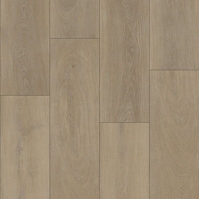 Oak Sofia