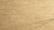 Ornato Tuscany 5.3mm looselay vinyl plank swatch in soft biscuit and wheat toned oak with very subtle grain