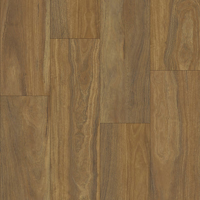 Spotted Gum