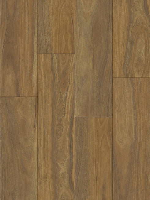 Eco Flooring Ornato XXL 8.0 Spotted Gum 8mm hybrid flooring