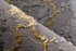 Grey and Gold Rug