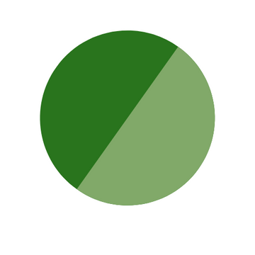 Green Rugs