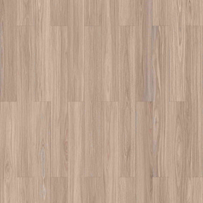 Coastal Blackbutt