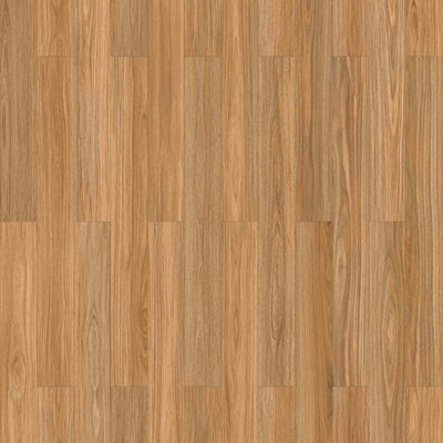 NSW Spotted Gum