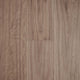 Blackbutt