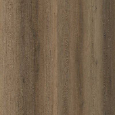 Nebula Walnut