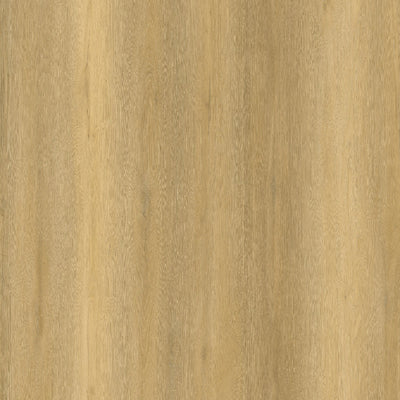 Aurora Pine