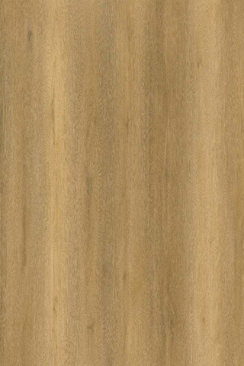 Celestial Driftwood 10mm Zenith 1800 Hybrid Flooring - Adore Rugs & Flooring
