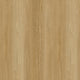 Prime Blackbutt