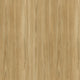 Starry Spotted Gum