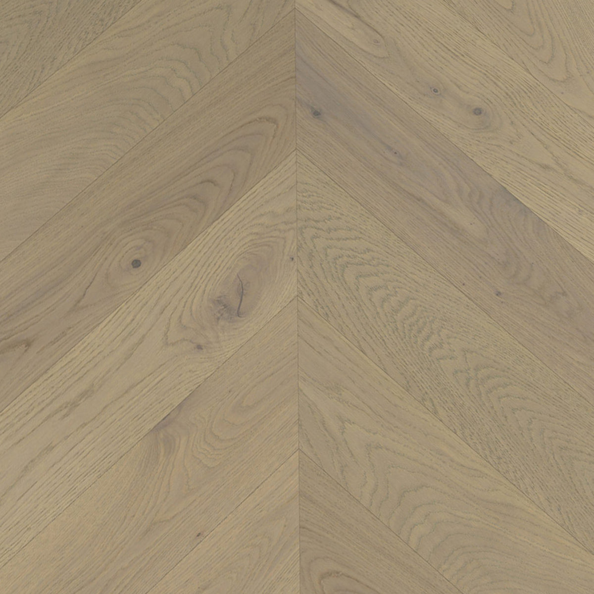 14/3mm Engineered Timber - Corsica Chevron - Weathered Oak – Adore Rugs ...