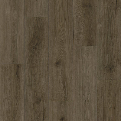 Anchor Grey