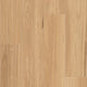 Coastal Blackbutt