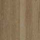 New England Blackbutt