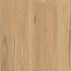 Coastal Blackbutt