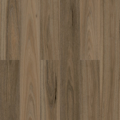 Country Spotted Gum