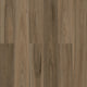 Country Spotted Gum