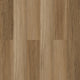 Northern Blackbutt
