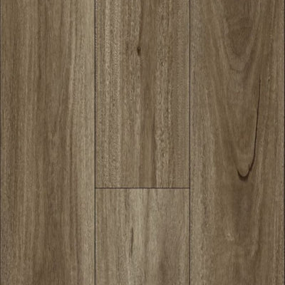 Spotted Gum