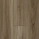 Spotted Gum