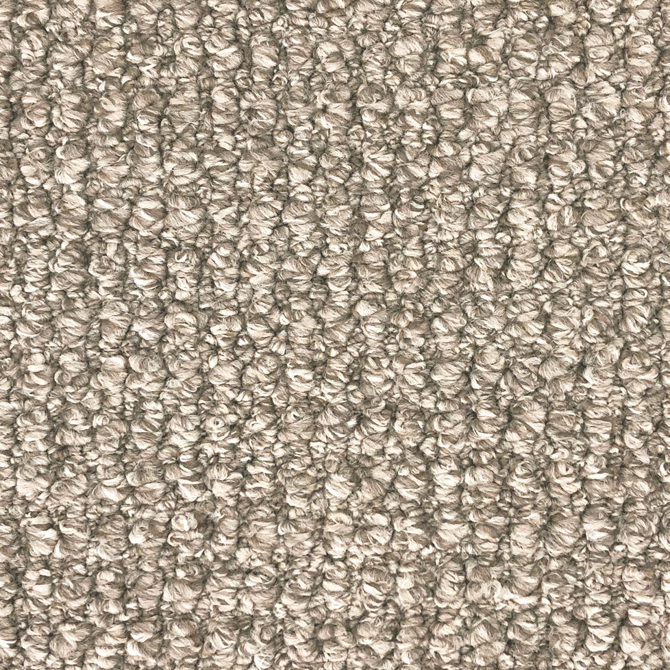9mm Scroll Loop Pile Carpet - Ben Ghazi - Shell – Adore Rugs & Flooring