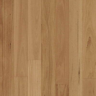 Blackbutt Select