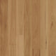 Blackbutt Select