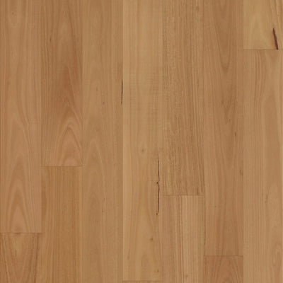 Blackbutt Neat