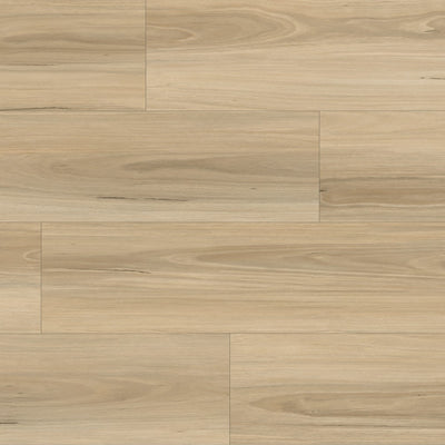 Blackbutt