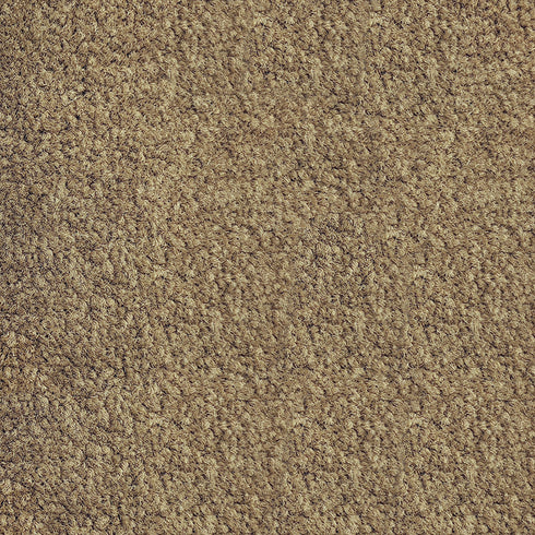 Bronte cut pile carpet swatch, Riverside Reserve and Parkview Gardens - Adore Rugs & Flooring