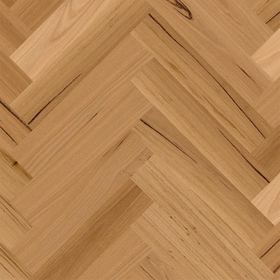 Blackbutt