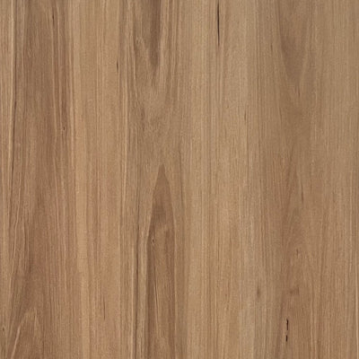 Blackbutt