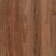 Queensland Spotted Gum