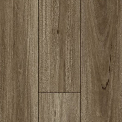 Spotted Gum