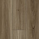 Spotted Gum