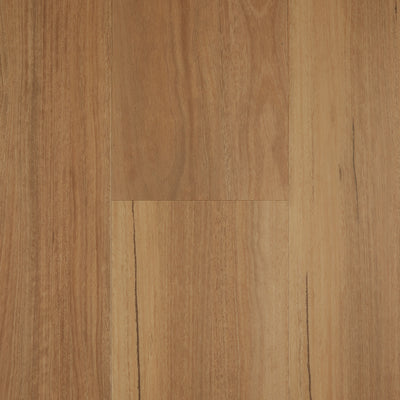 Spotted Gum