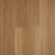 Spotted Gum