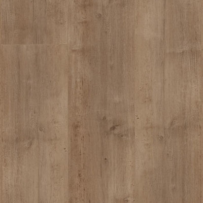 Coastal Ivory