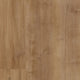 Towny Oak