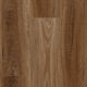 Spotted Gum