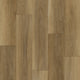 Northern Spotted Gum