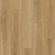 Pacific Blackbutt
